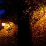 Streetlamps - Mexico City - Mexico City photo