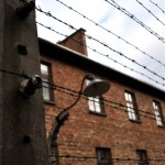 Barbed Wire Fence - Auschwitz photo
