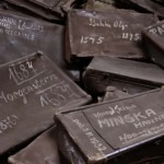 Cases - Auschwitz photo