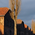 Grey Skies Over Auschwitz - Auschwitz photo