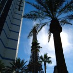 Palms and the Eiffel Tower - The Strip, Las Vegas, Nevada - Las Vegas photo